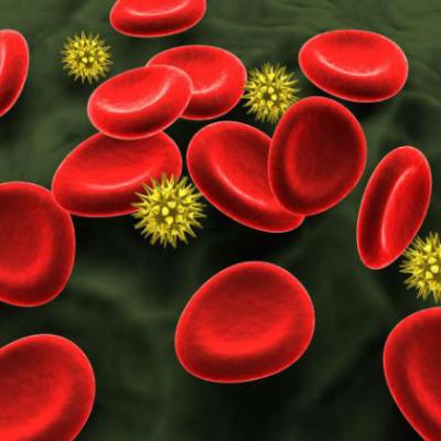 Interpretarea analizelor de sange 