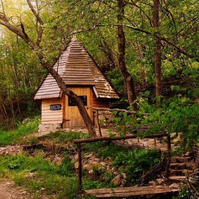 Jos stresul! Sus mofeta!