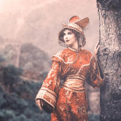 Horoscopul pierdut al Chinei 