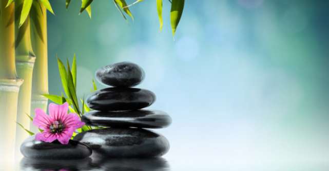 Zen in 10 minute. Peste 300 de sfaturi si exercitii pentru regasirea seninatatii 