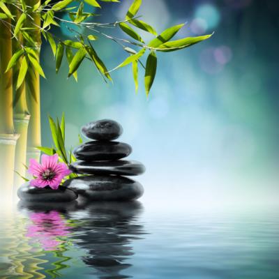 Zen in 10 minute. Peste 300 de sfaturi si exercitii pentru regasirea seninatatii 