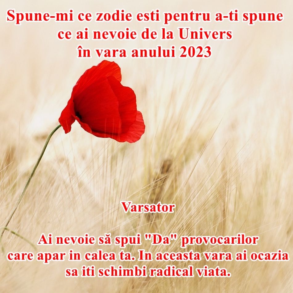 Spune-mi ce zodie ești pentru a îți spune de ce ai nevoie de la Univers în vara anului 2023