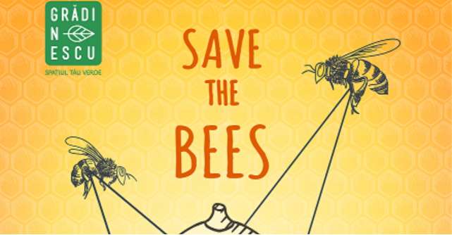Kaufland România organizează ateliere de apicultură pentru copii