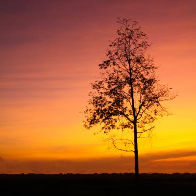 Micile INSTRUCTIUNI ale VIETII pentru a deveni un om mare. 48 de mini-reguli extraordinare 