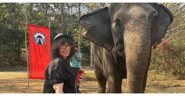 Mona Segall–Regina audiențelor din televiziunea românească. Producătorul din spatele succesului Chefi la cuțite