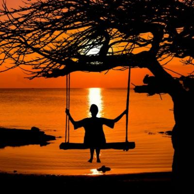 Mai multe optiuni nu inseamna mai multa fericire