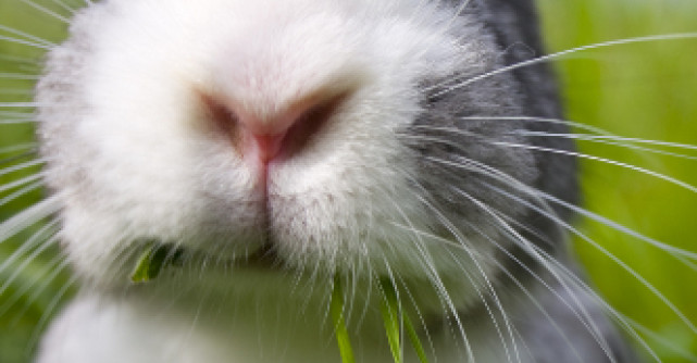 Video: Baietii de la Coldplay ne duc in paradis