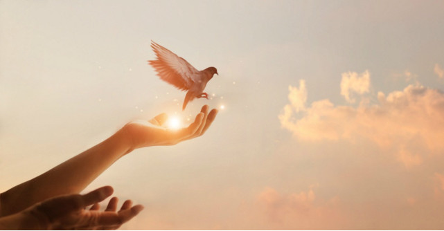 POSTUL, o provocare pentru trup și spirit