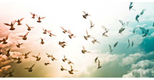 Impreuna suntem mai puternici