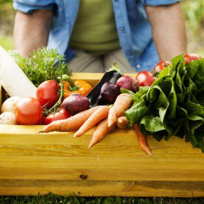 Legumele care ajuta in lupta impotriva cancerului