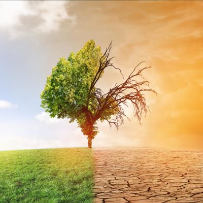 Omenirea este pe minus, azi a consumat resursele pentru tot anul