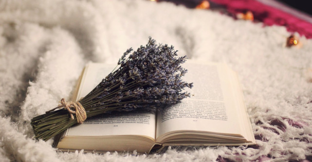 Plante somnifere – ca sa spui adio, insomnie!