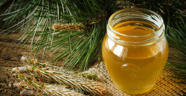 Efectele miraculoase ale siropului de muguri de brad