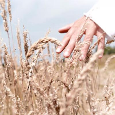 9 Alegeri care iti lungesc viata cu cel putin 15 ani