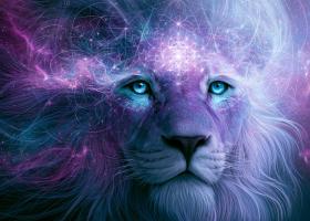 Luna Nouă în Leu: 5 zodii care își rescriu destinul
