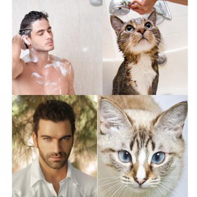 Clateste-ti ochii! Aceste imagini iti vor face ziua frumoasa!