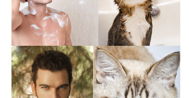 Clateste-ti ochii! Aceste imagini iti vor face ziua frumoasa!