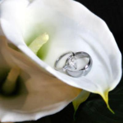 S.O.S. Florile care sunt interzise la nunta!?