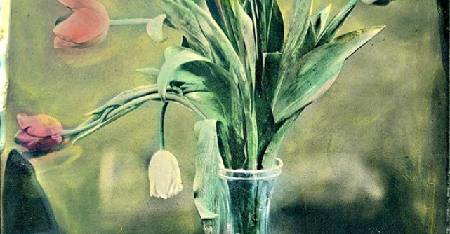 Targ de Primavara la FotoHub