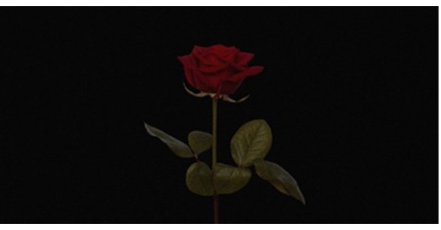 Mario Fresh lansează M-am trezit plângând,  prima piesă de pe EP-ul pe care artistul îl pregătește