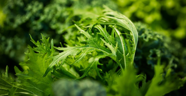 Ce nu stiai despre rucola?