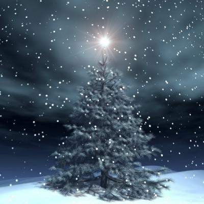 Video: Cele mai spectaculoase decoratiuni de Craciun, realizate in 500 de ore!