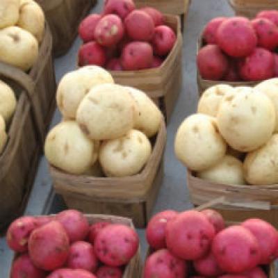 Cartoful - Alimentul incasilor si al indienilor Aymara