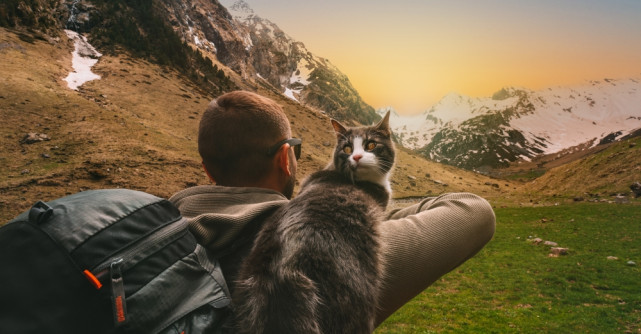 Prietenie fără margini! Un ucrainean a fost salvat de pisica sa, după ce a stat timp de 8 zile blocat în munți