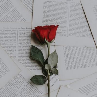 Nepovestitele iubiri. 7 minibiografii sentimentale