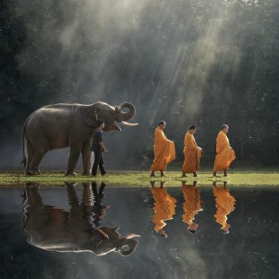  Cea mai frumoasa lectie de viata budista