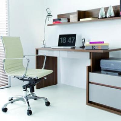 Cateva recomandari de la Elvila pentru amenajarea biroului de acasa 