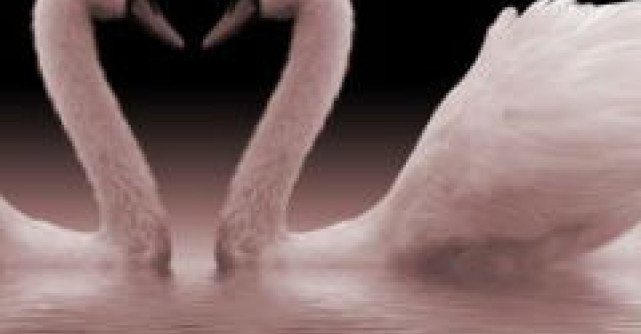 Poveste de dragoste cu inceput si sfarsit