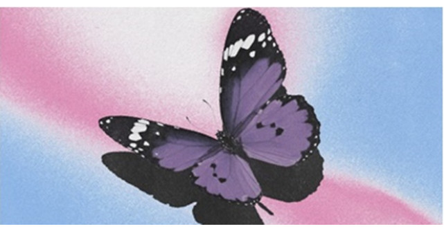 Cucerind lumea prin iubire - Us - Gamuel Sori x Lovespeake