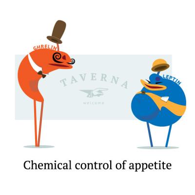Cum poți influența hormonul foamei?