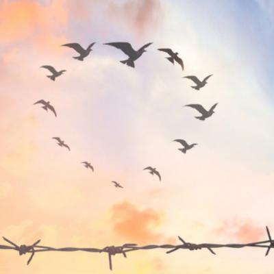 25 de lectii pline de intelepciune care iti vor linisti sufletul