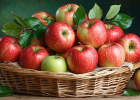 Fructe din belșug: cum transformi surplusul într-o resursă delicioasă și utilă