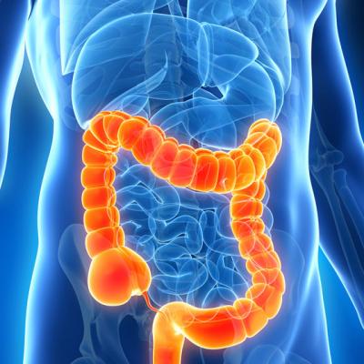 5 Tratamente pe baza de plante pentru CONSTIPATIE