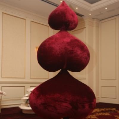 Galerie foto: Festivalul Brazilor de Craciun