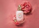 LA PARFUMERIE SABON - Parfumuri fine ce evocă armonia naturii