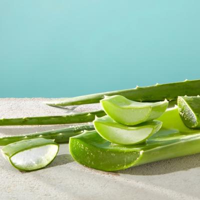 Ce boli tratează aloe vera - beneficii și utilizări medicinale