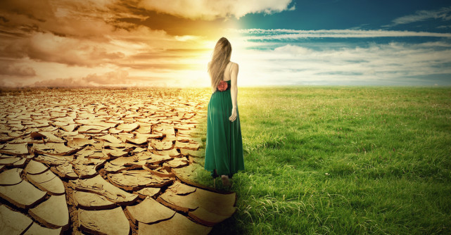 Vibratia saptamanii: Toleranta si Schimbare