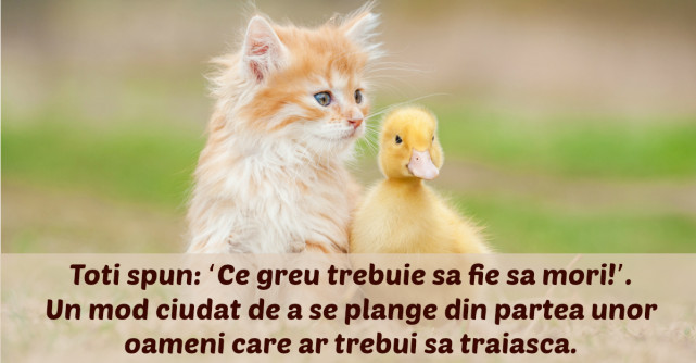 30 de lectii profunde dupa care sa ne traim viata