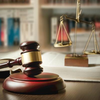 Cine este Elena Raluca Costache, noua șefă a CSM care a stârnit controverse prin declarațiile despre pensii