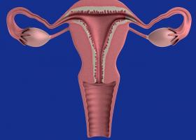 Colposcopia si biopsia cervicala: cand trebuie sa le faci si ce implica 