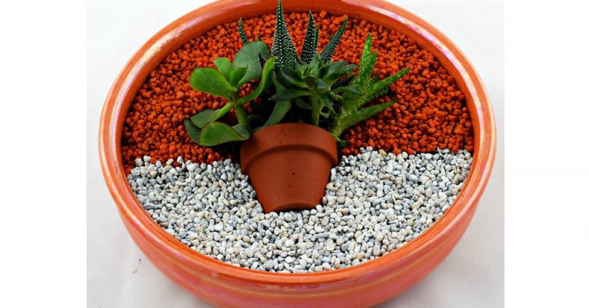 Poza 3 din 4 gradina zanelor