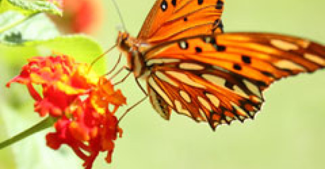 Top 10 Cele mai mari frici umane