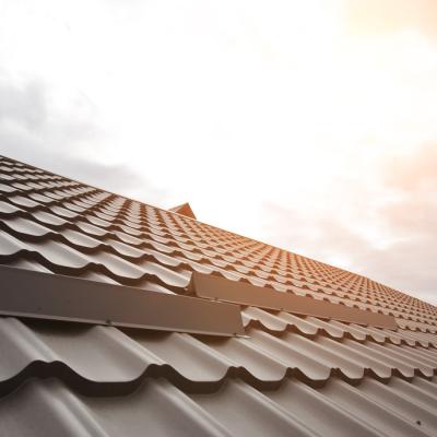 Tabla vs țigla de la Bilka: ce tip de acoperiș se potrivește casei tale?