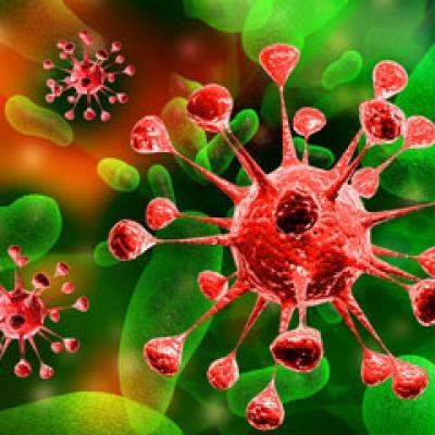 Primul transplant de celule stem in talasemia majora