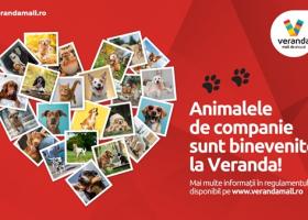 Veranda Mall a devenit pet friendly! Cum să-ți planifici vizita alături de prietenul blănos