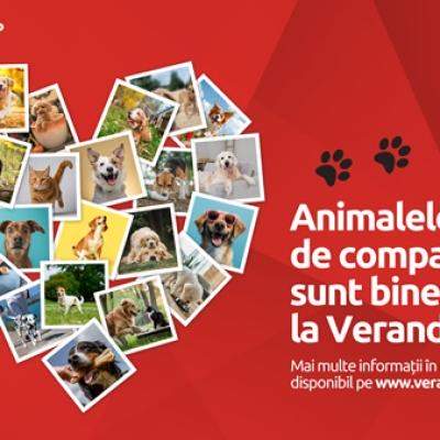 Veranda Mall a devenit pet friendly! Cum să-ți planifici vizita alături de prietenul blănos
